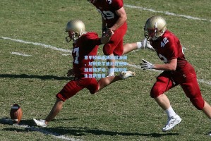 意甲转会市场再掀波澜，加利亚尔迪尼自由身加盟维罗纳，开启职业生涯新篇章