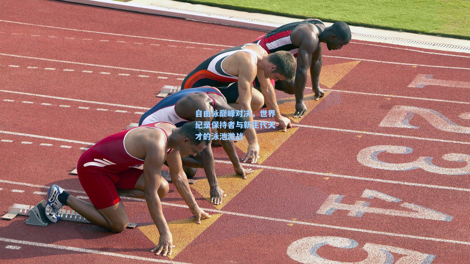 自由泳巅峰对决，世界纪录保持者与新生代天才的泳池激战